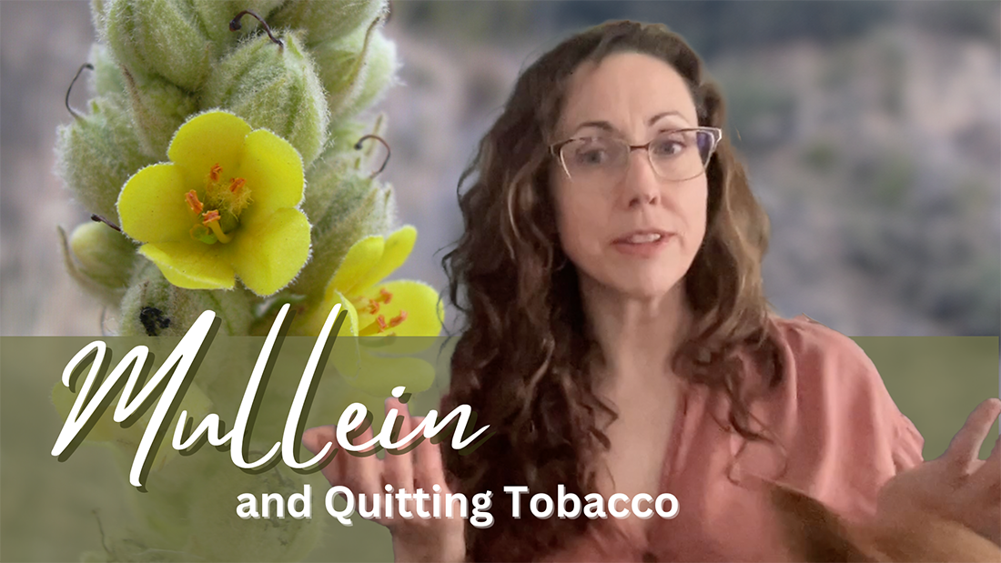 Mullein & Quitting Tobacco – Brown Bear Herbs