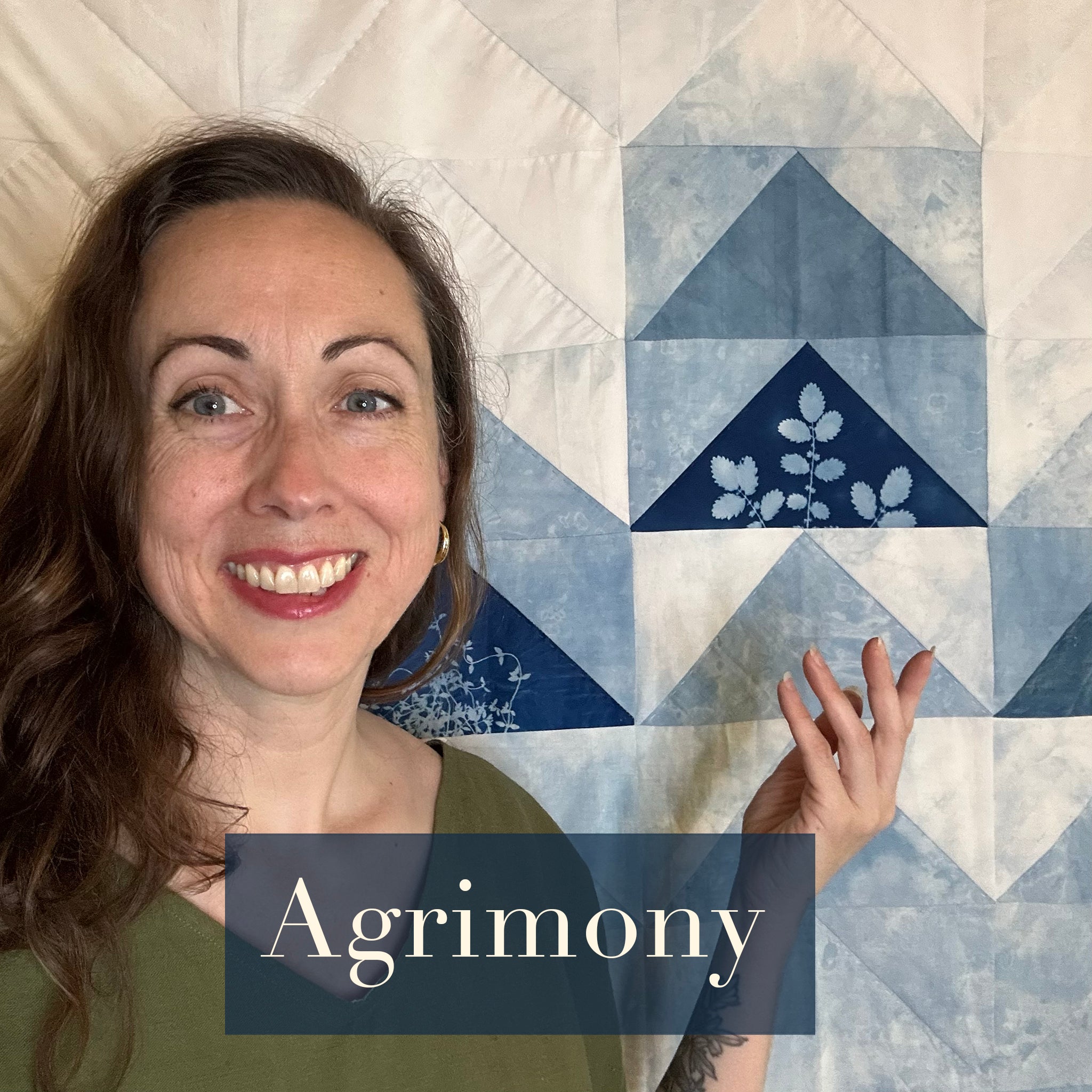 Video 2: Agrimony, Between A Rock and A Hard Place