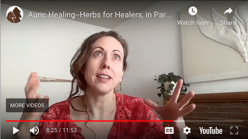 Herbs for Aura Health