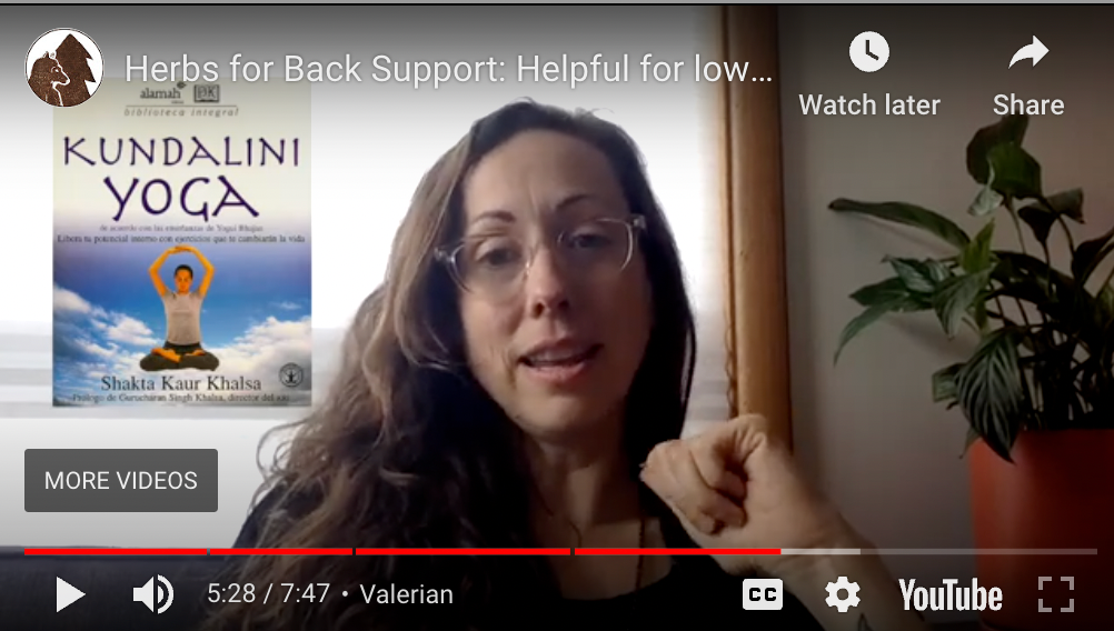 Herbs for Back Support
