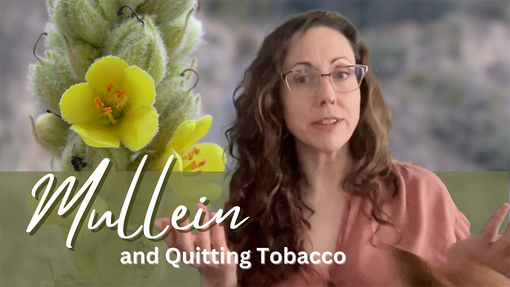 Mullein & Quitting Tobacco