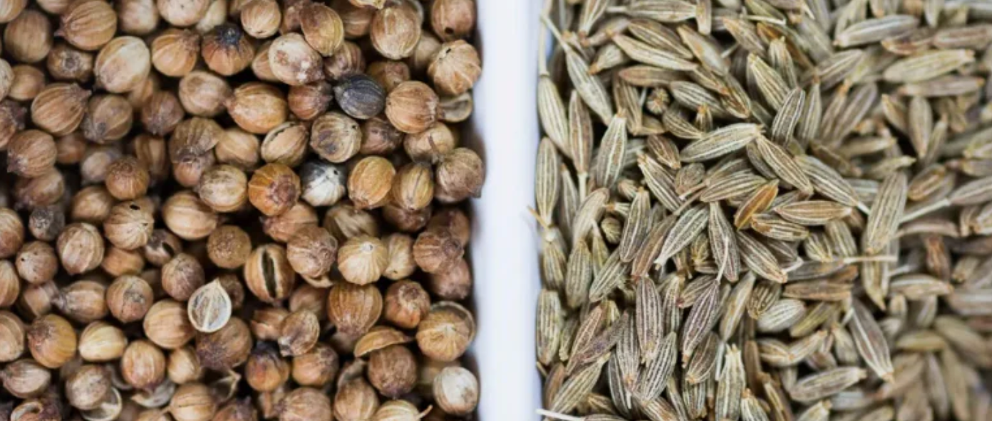 Cooling Herbs, Articles for Without Borders Magazine