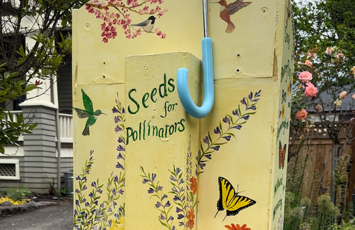 Seeds for Pollinators Seed Grants Herbalists Without Borders Portland MOnarchs
