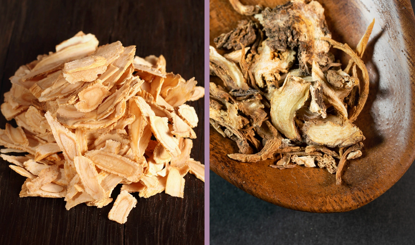 Article: the Angelicas: Without Borders Magazine