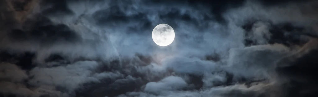 Video: Smokes for Contemplative Times