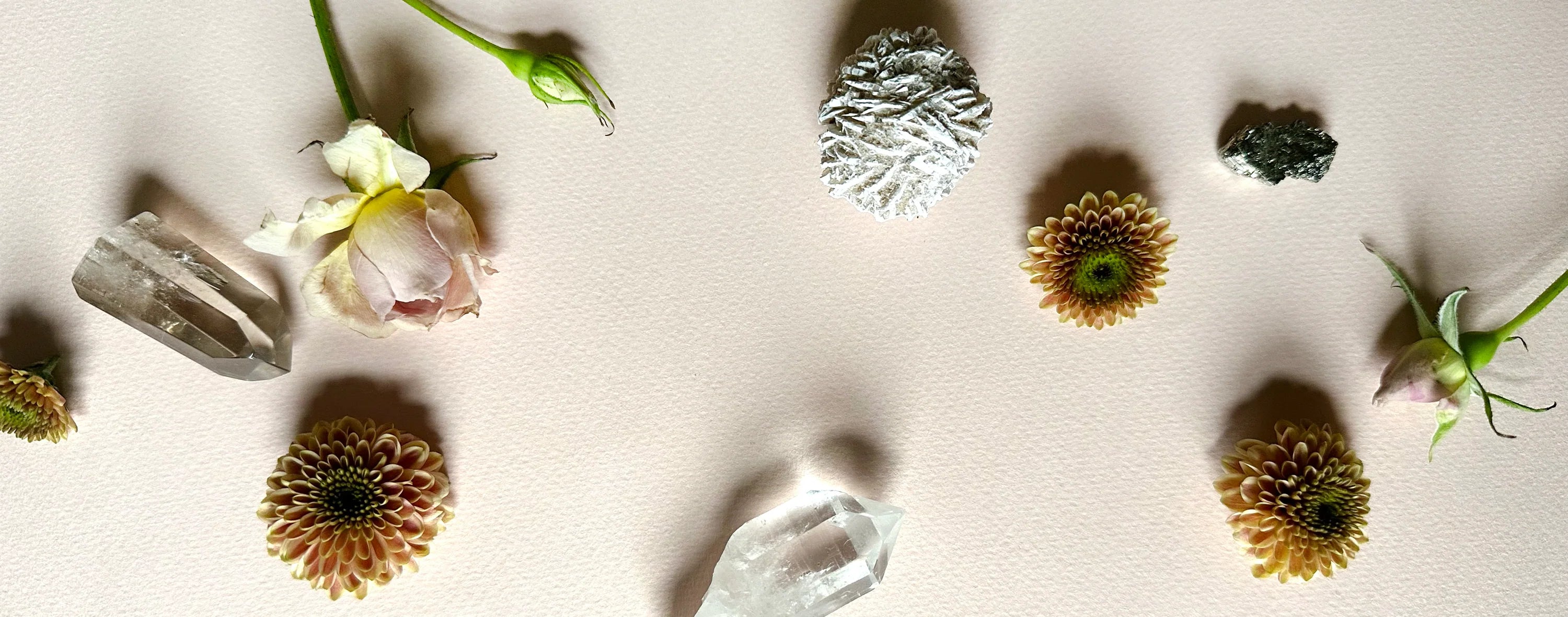 What are Flower and Gem Essences and How to Use Them