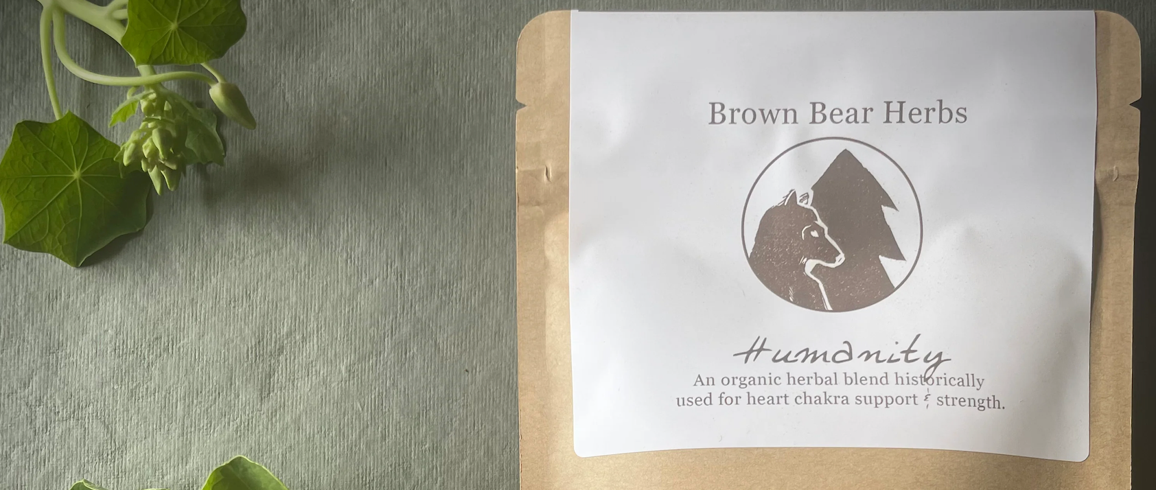 Male Body Probs: Erectile Dysfunction & Infertility