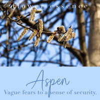 Aspen Flower Essence