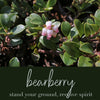 Bearberry Flower Essence