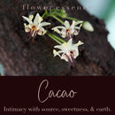 Cacao Flower Essence