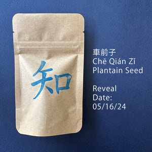 車前子, Chē Qián Zǐ, Plantain Seed, Reveal Date: 5/16