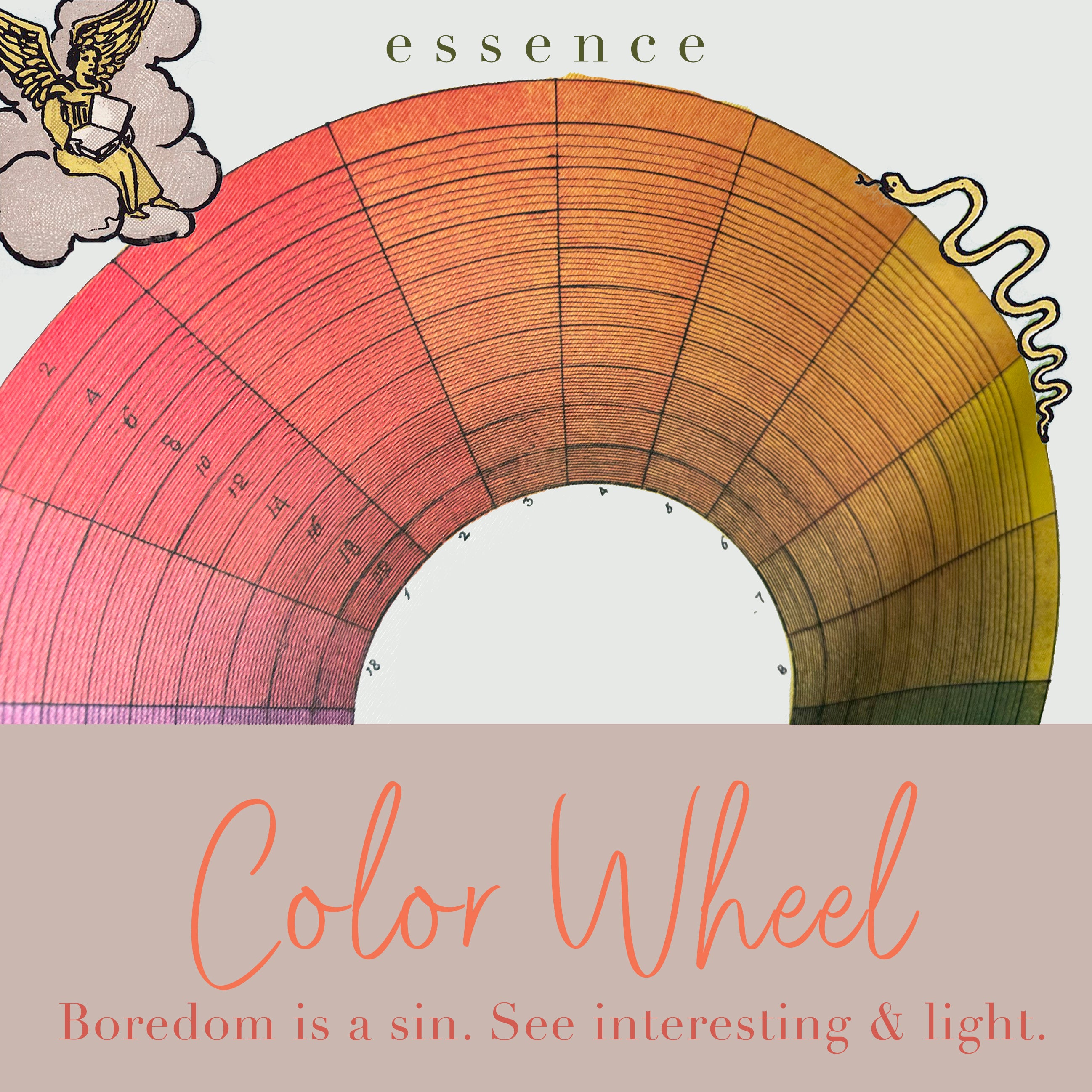 Color Wheel Gem & Flower Essence