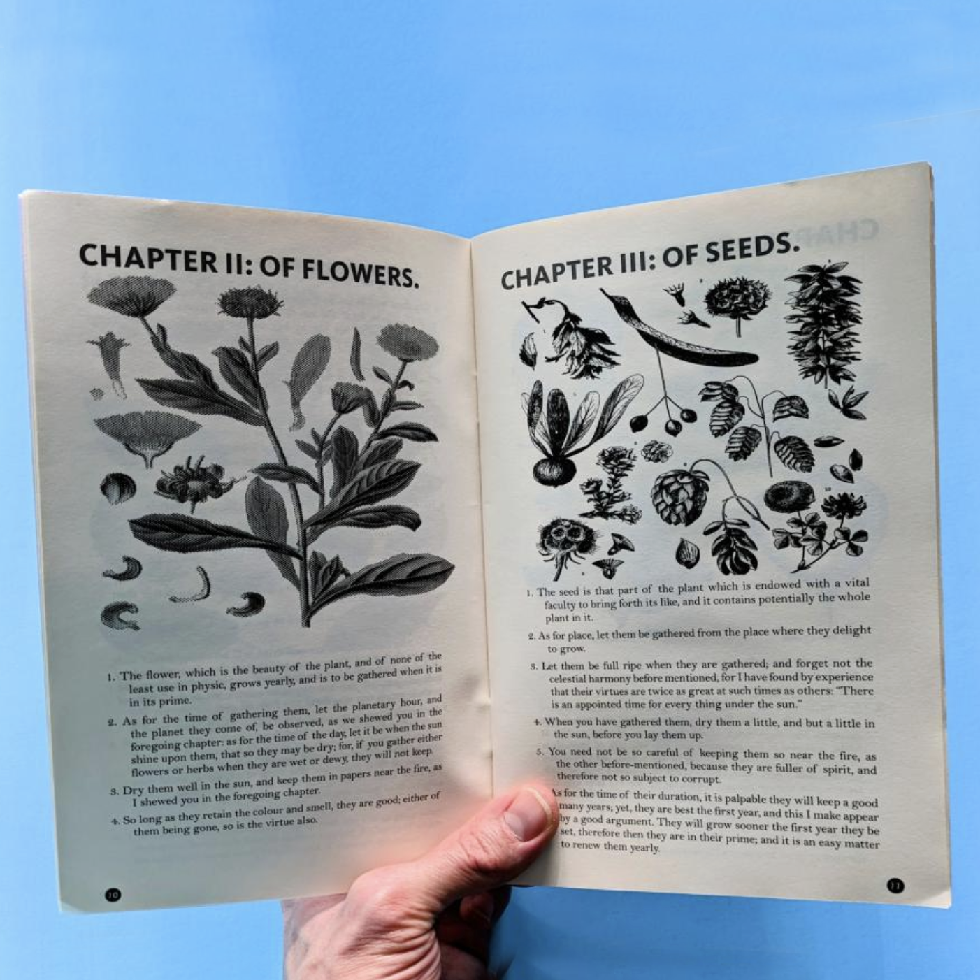 Culpeper's Guide to Gathering, Drying and Preserving