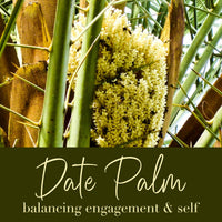Date Palm Flower Essence