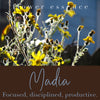 Madia Flower Essence