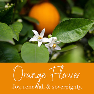 Orange Flower Essence