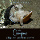 Octopus Energy