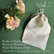 Herbs of Traditional Wester Herbalism, Plant Meditation Club, Brown Bear Herbs, week 2