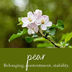 Pear Flower Essence