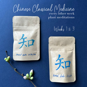 Plant Meditation Club: Classical Chinese Medicine, week 1 & 3