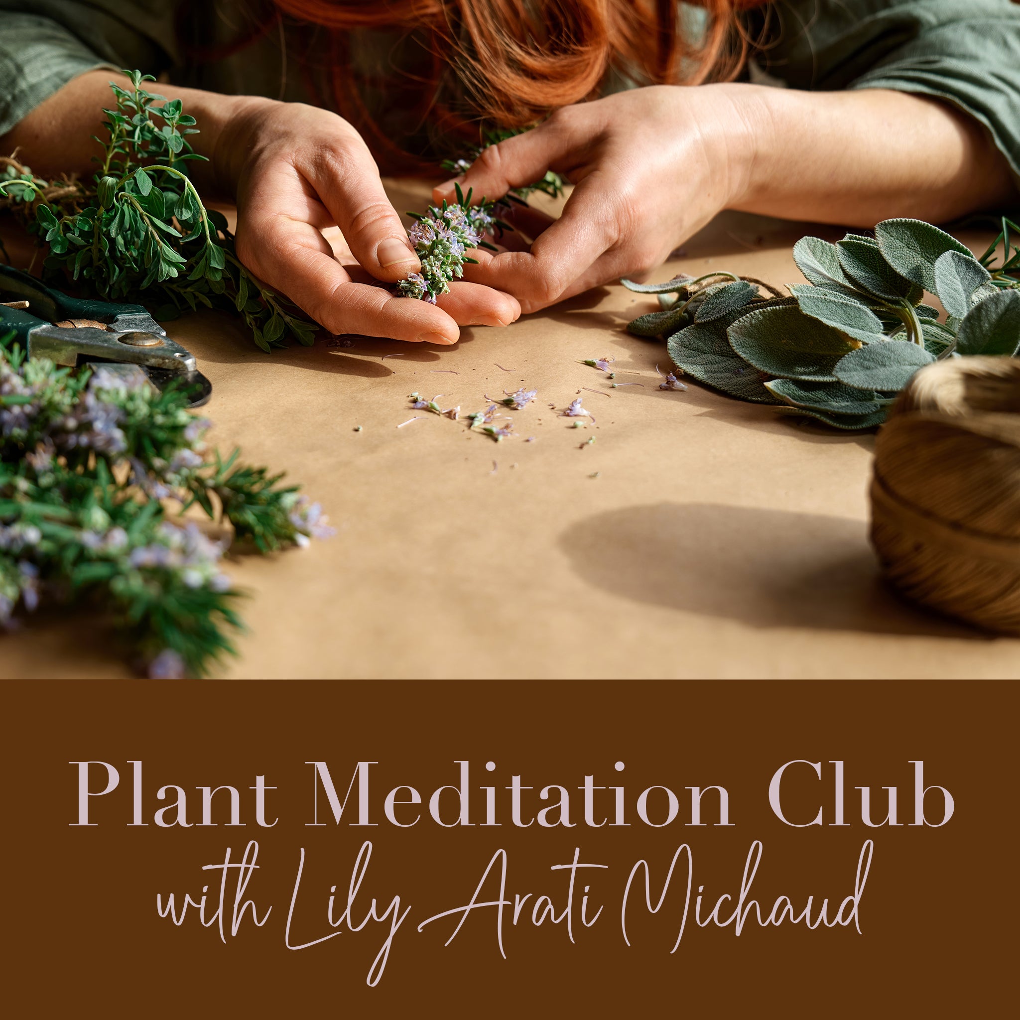 Plant Meditation Club