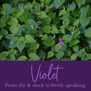 Violet flower essence and product title and description: "from shy & stuck< to freely speaking"
photo by Krzysztof_Golik