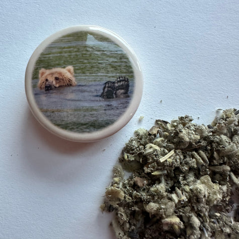 Chilling Bear Pocket Pipe for Smoking Herbs