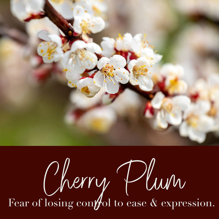 Cherry Plum Flower Essence