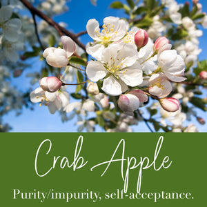 Crab Apple Flower Essence