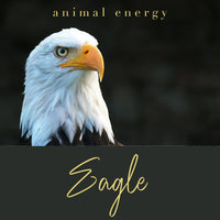 Eagle Energy
