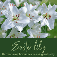 Easter Lily Flower Essence