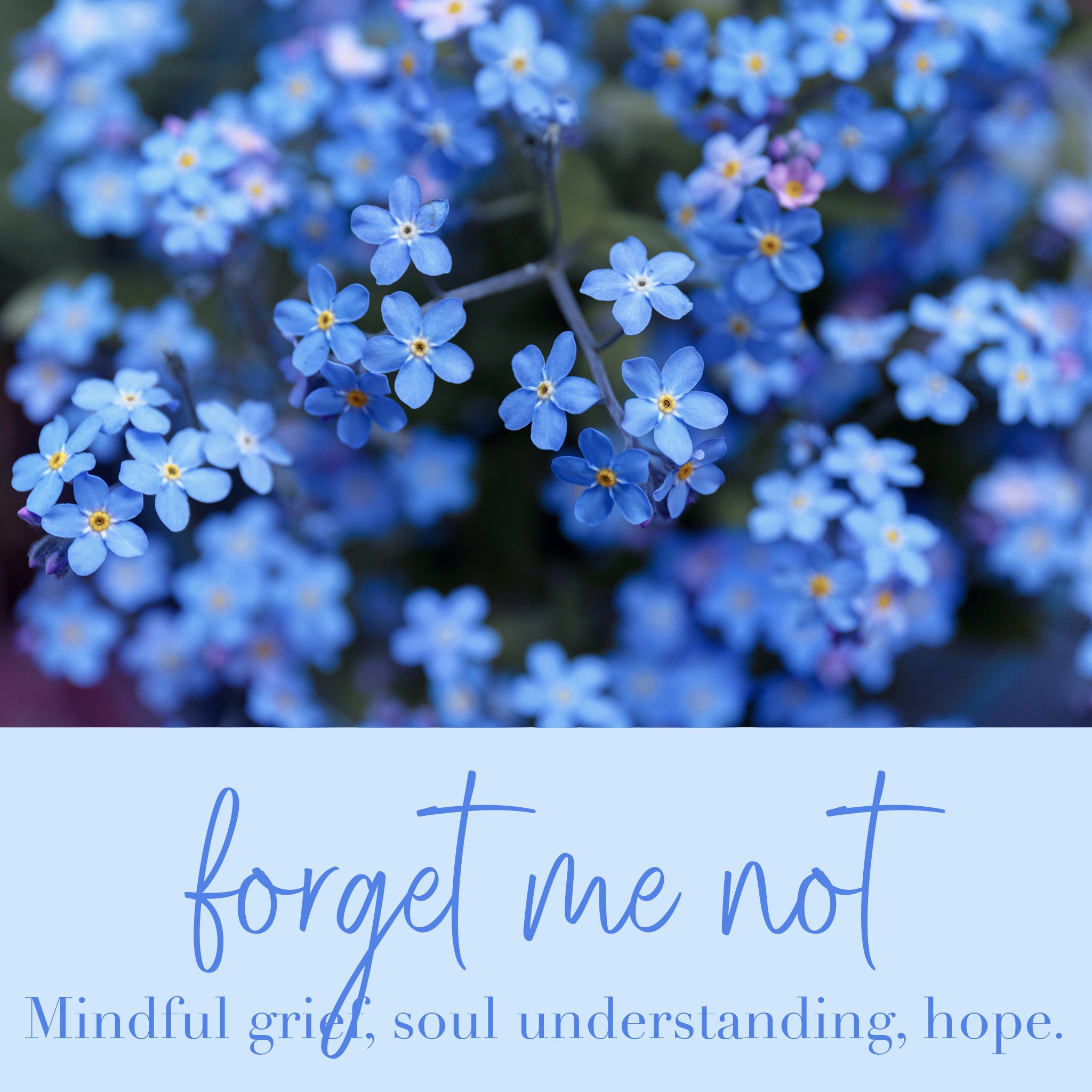 Forget Me Not Flower Essence