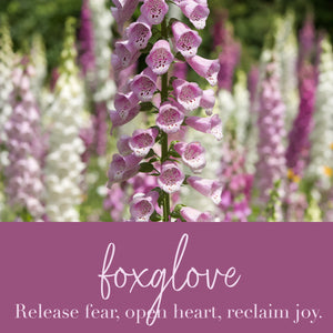 Foxglove Flower Essence