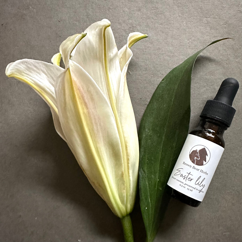 Easter Lily Flower Essence