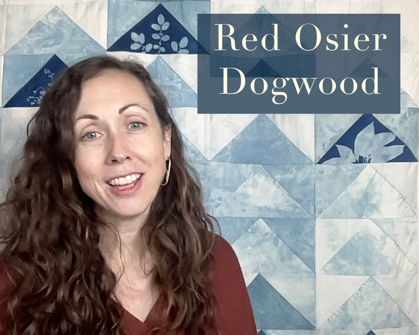 red_osier_dogwood_for_theme.jpg