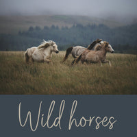 Wild Horses Energy