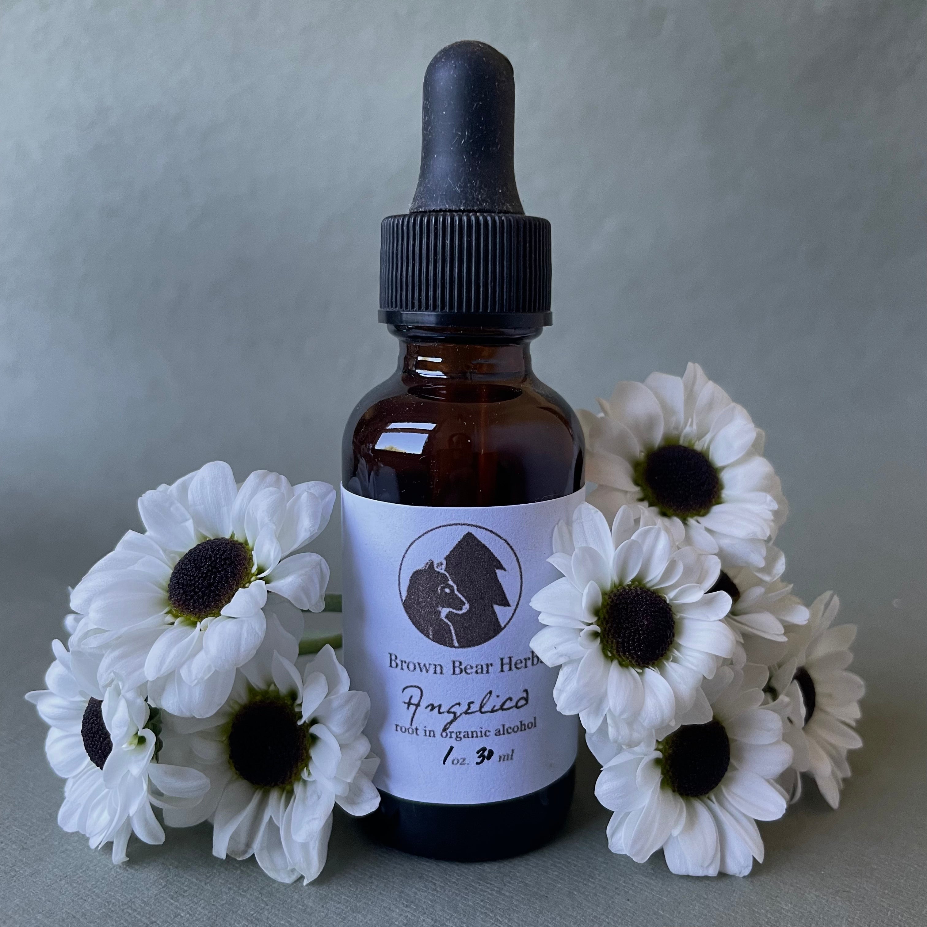 Angelica archangelica Tincture