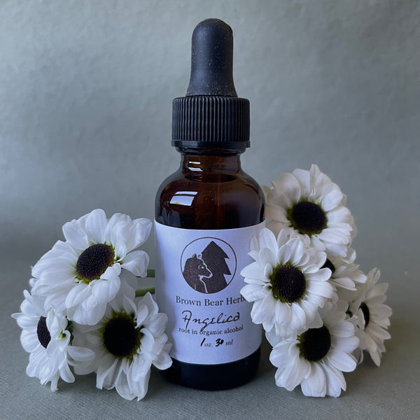 Angelica Tincture