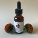 Lomatium Root Tincture-Strongest Native Antiviral herb