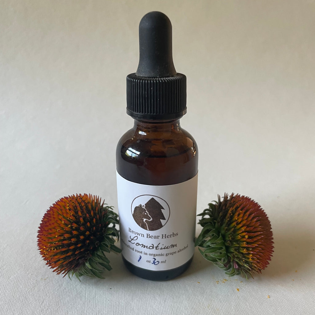 Lomatium Root Tincture-Strongest Native Antiviral herb