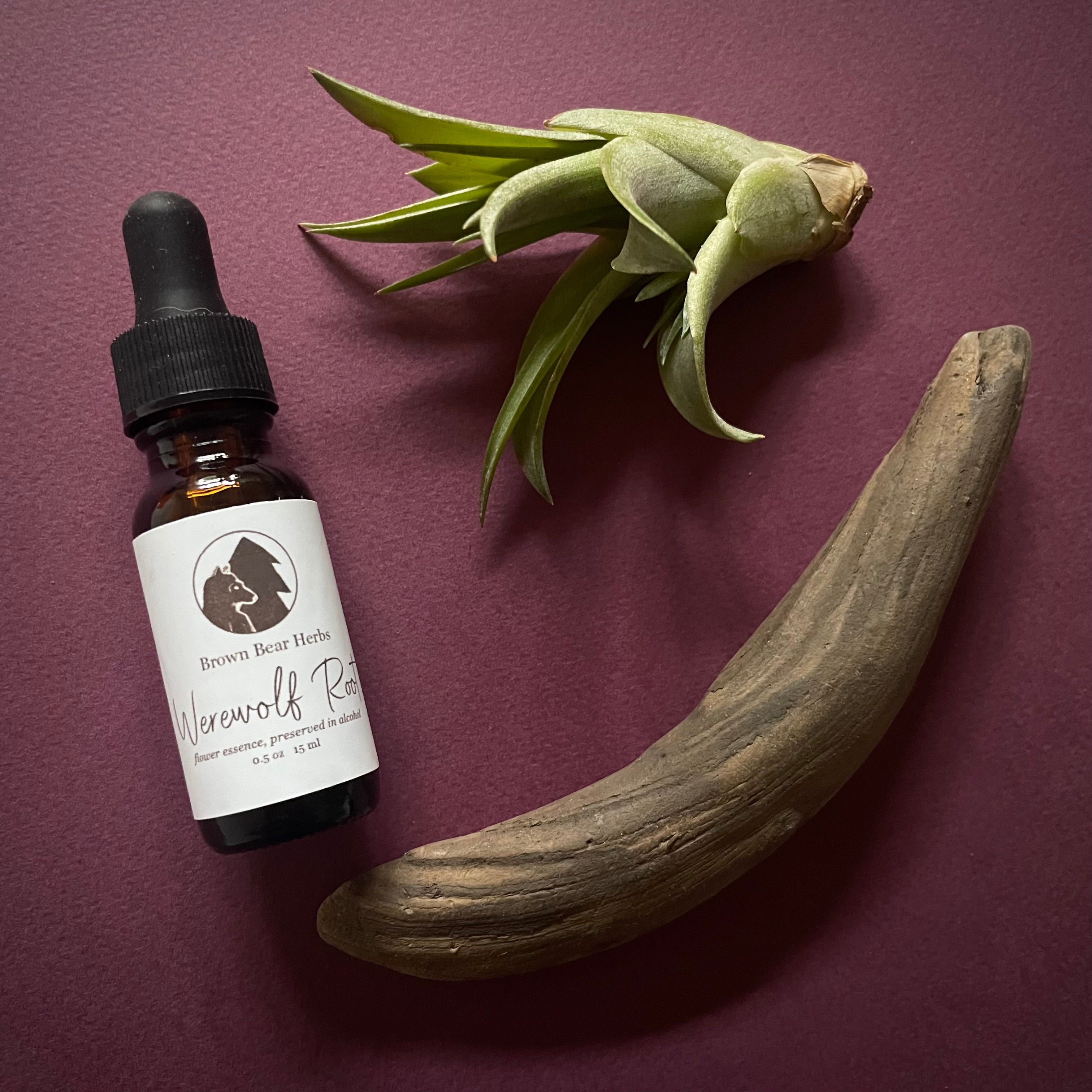 Werewolf Root Flower Essence