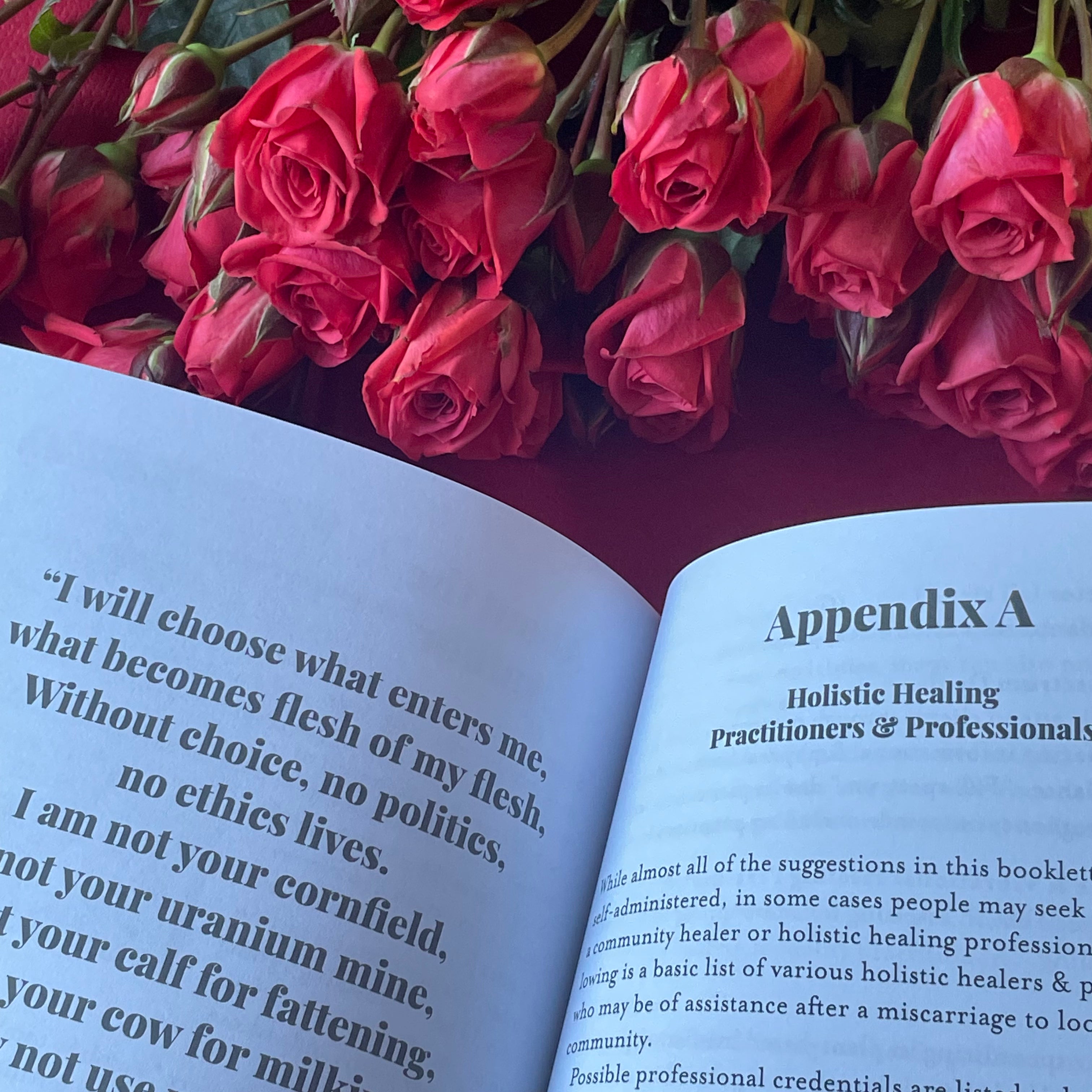 Zipporah, Holistic Healing After Abortion