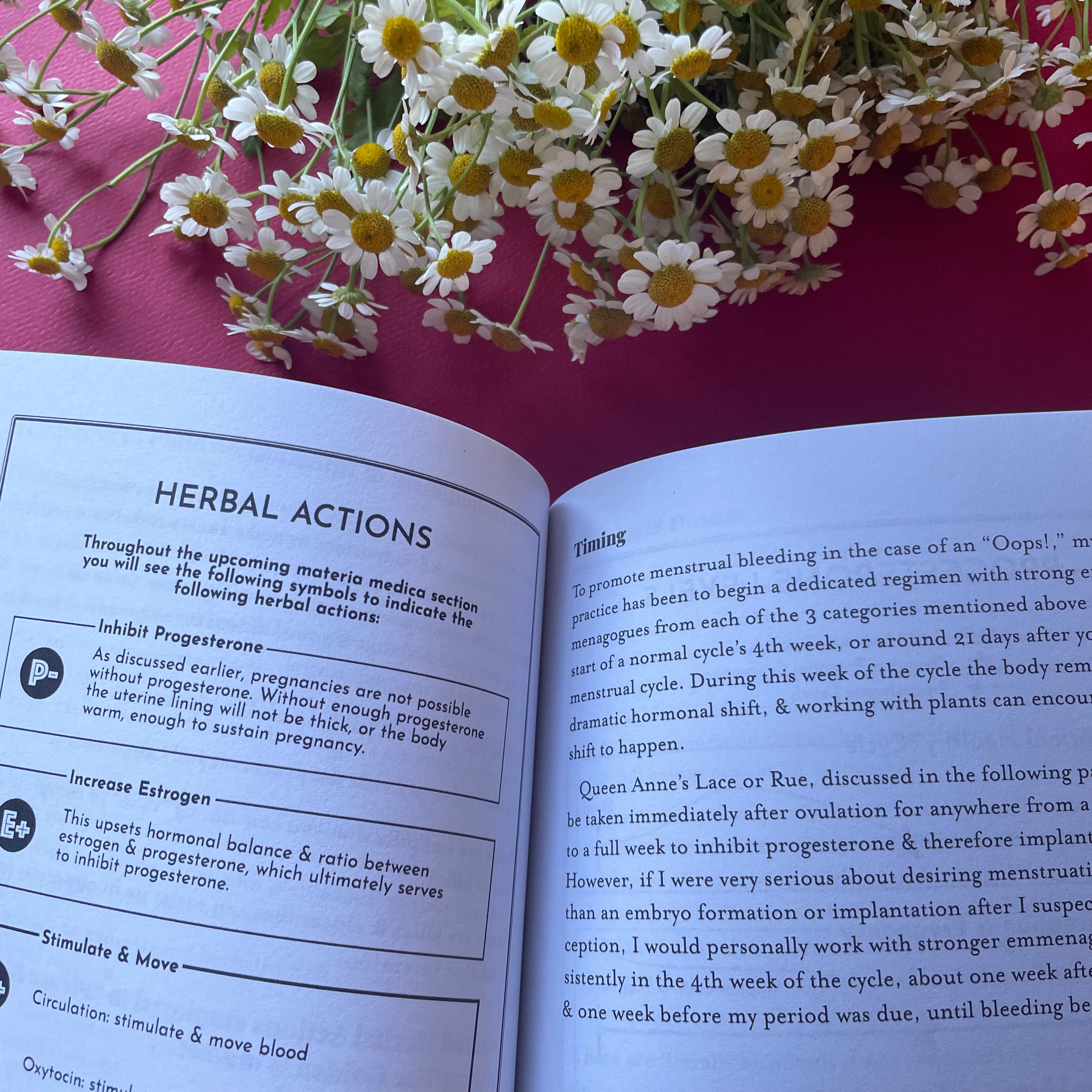 Zipporah, Please Bleed! an Herbal Abortion Reference