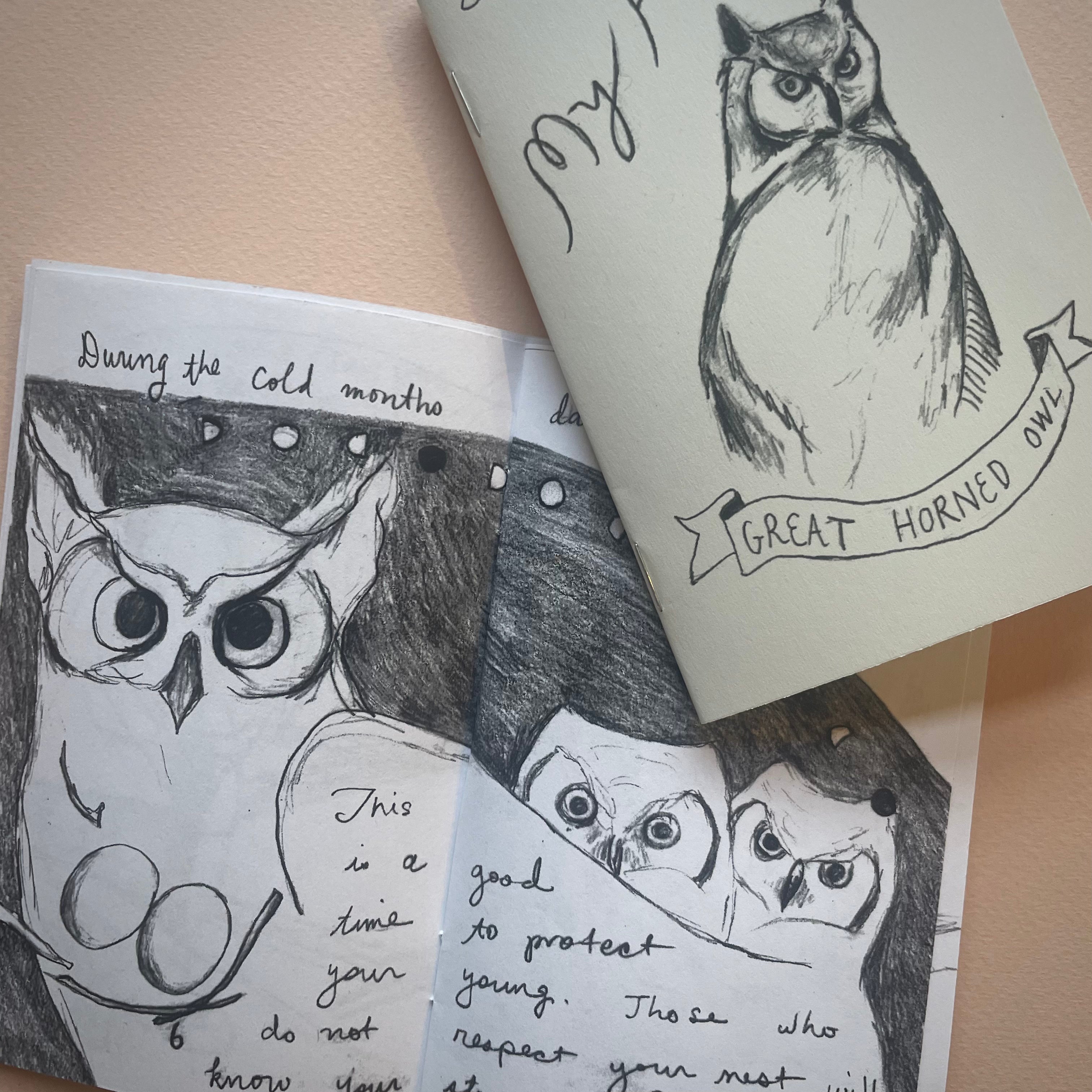 Hawk and Owl zine