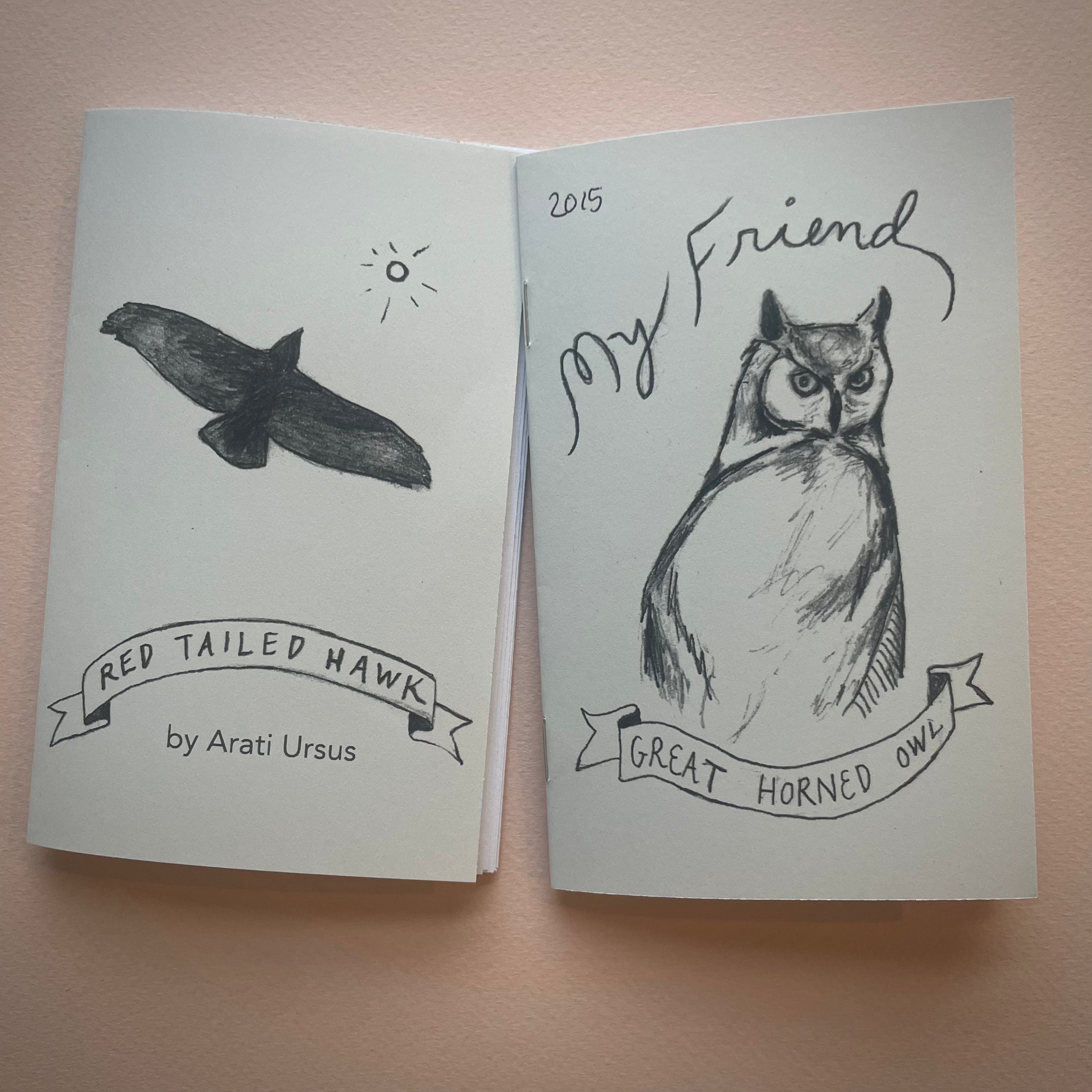 Hawk and Owl zine